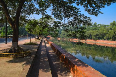 Çiçekleri ve ağaçları olan güzel bir bahçe