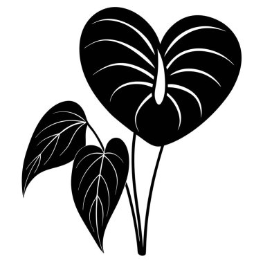 Anthurium silhouette black vector clipart