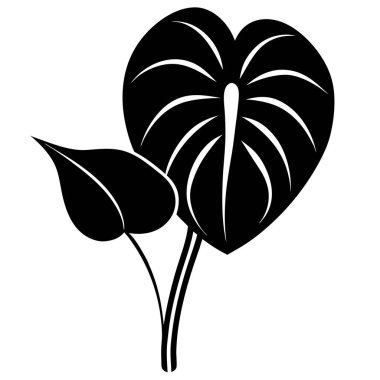 Anthurium silhouette black vector clipart