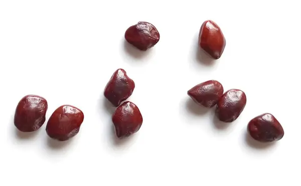 Beyaz arka plan üzerinde izole demirhindi tohumları