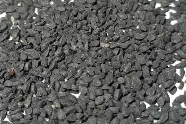 Black cumin seeds pile isolated on white background