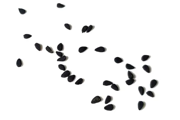 Siyah kimyon tohumları beyaz arkaplanda izole edilmiş