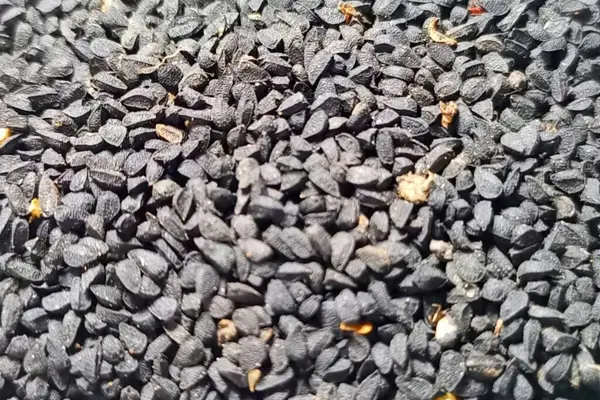 Siyah kimyon tohumları arkaplan dokusu