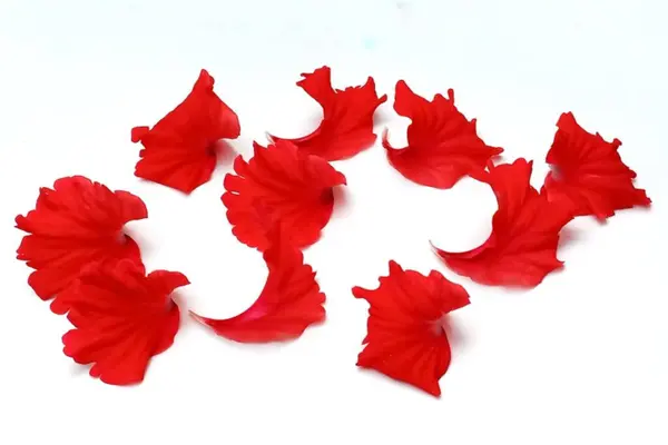 Beyaz arkaplanda izole edilmiş Hibiscus çiçek yaprakları