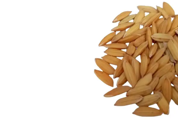 Beyaz arkaplanda izole edilmiş pirinç tohumları