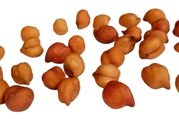 Beyaz arkaplanda izole edilmiş nohutlar