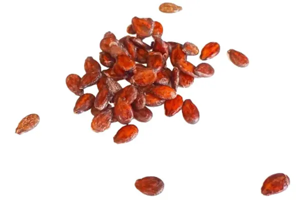 Beyaz arkaplanda izole edilmiş karpuz tohumları