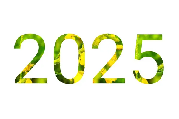 Beyaz arka planda izole edilmiş hardal çiçeğinden yapılan 2025 numara.