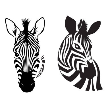 Zebra hayvan illüstrasyonu, doğa koruma vektörü siyah ve beyaz çizgili Vektör illüstrasyonu