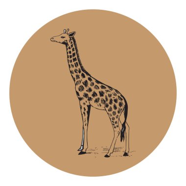 Zürafa silueti düzenlenebilir vektör çizimi