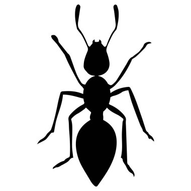 karınca ikon vektörleri illüstrasyon sembolü tasarımı