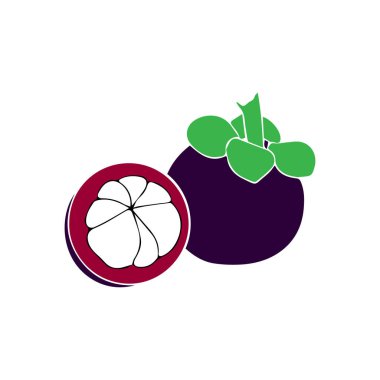Mangosteen meyve ikonu vetors Illustration