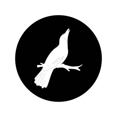 yeşil cucok bird, vektörler illüstrasyon