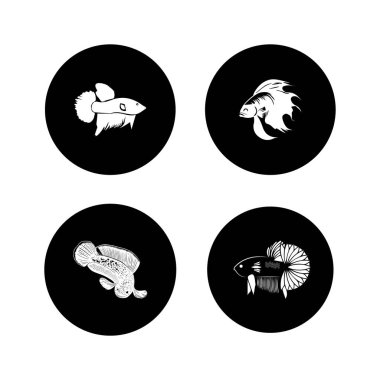 Beta balık simgesi seti