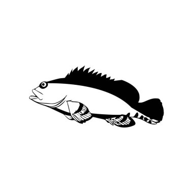 Benekli orfoz balığının tek renkli çizimi