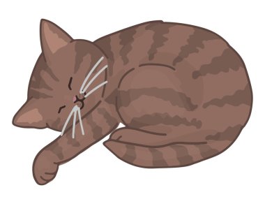 Tatlı uyuyan kedinin çizgi film tırmanışı. Evcil kedi yavrusu. Vektör illüstrasyonu beyazda izole edildi.