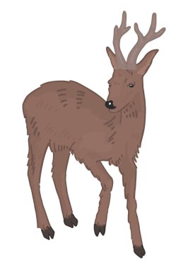 Genç geyiğin çizgi film tırmanışı. Vahşi orman hayvanı karalaması. Vektör illüstrasyonu beyaz arkaplanda izole edildi.