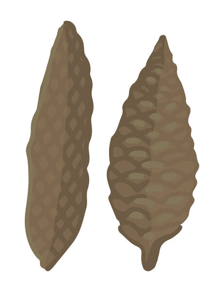 Cartoon cliparts of pine cone. Doodle of forest harvest. Contemporary vector illustration isolated on white background.