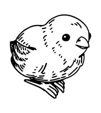 Sevimli piliç ana hatları klibi. Bahar geldi çattı. İşleme biçimindeki vektör illüstrasyonu beyaza izole edildi.