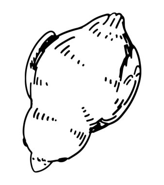 Sevimli piliç ana hatları klibi. Bahar geldi çattı. İşleme biçimindeki vektör illüstrasyonu beyaza izole edildi.