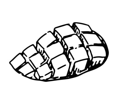 Doğranmış mango meyveli çizim klipsi. Beyaza izole edilmiş taze egzotik meyve karalaması. Oyma biçiminde elle çizilmiş vektör illüstrasyonu.