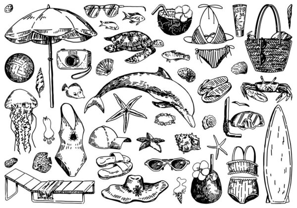 Beach vacation sketches collection. Drawings set of leisure accesories, cocktails, sea animals, swimsuits. Hand drawn vector illustrations. Cliparts isolated on white.