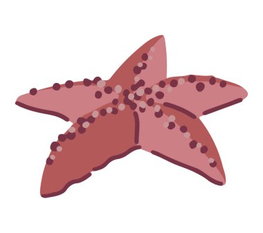 Yıldız balığı kırpması. Beyaza izole edilmiş tek bir sualtı hayvanı karalaması. Çizgi film tarzında renkli vektör illüstrasyonu..