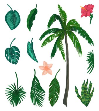 Tropik flora karalama koleksiyonu. Egzotik yapraklar, palmiye ağaçları, çiçekler. Çizgi film vektör çizimleri. Renkli klip sanatları beyaza izole edildi..