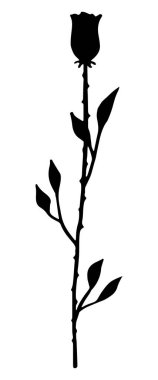 Saplı ve yapraklı gül silueti. El çizimi vektör çizimi. Tek botanik çizimi beyaz arka planda izole edilmiş. Tasarım, baskı, kartpostal, çıkartma, dekor için sevimli siyah çizim.