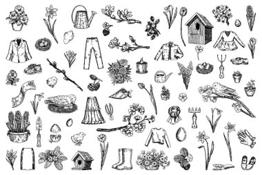 Bahar zamanı Clipart koleksiyonu. Böğürtlen, kuş, bahçıvanlık, bitkiler, aksesuarlar, giysiler. Beyaz üzerine el çizimi vektör çizimleri izole.