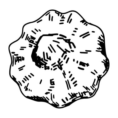 Pattypan squash 'ın ana hatları. Sonbahar tarım hasadının Doodle 'ı. El çizimi vektör çizimi beyaz arkaplanda izole edildi..