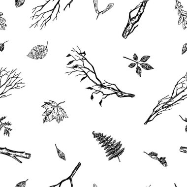 Sonbahar botanik vektörü kusursuz desen. Düşen yaprakların süsleri, çıplak dallar. Arkaplan, duvar kağıdı, dekor için elle çizilmiş retro biçim tasarımı..