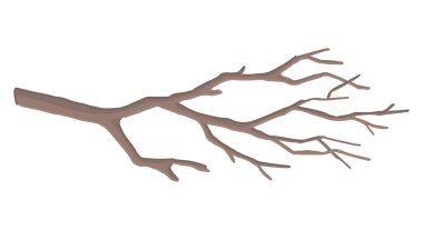 Cartoon clipart of bare branch. Doodle of tree without leaves. Contemporary vector illustration isolated on white background..