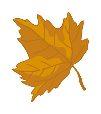 Cartoon clipart of maple leaf. Doodle of autumn botany attribute. Contemporary vector illustration isolated on white background..