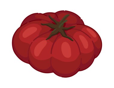 Domatese tırman. Sonbahar tarım hasadının Doodle 'ı. Çizgi film vektör çizimi beyaz arkaplanda izole edildi..