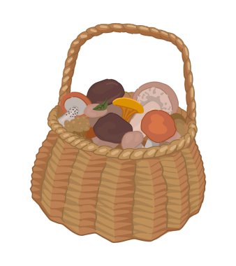Clipart of edible mushrooms in basket. Doodle of autumn forest harvest. Cartoon vector illustration isolated on white background..