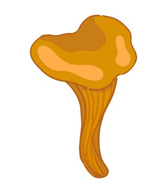 Clipart of edible mushroom chanterelle. Doodle of autumn forest harvest. Cartoon vector illustration isolated on white background..