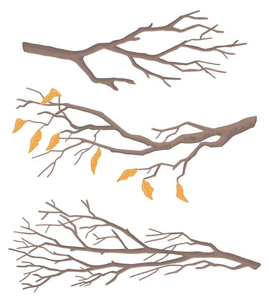 Set of bare branches. Doodles of leafless tree twigs. Cartoon vector illustrations collection isolated on white background..