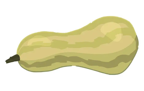 Clipart of zucchini. Doodle of autumn agricultural harvest. Cartoon vector illustration isolated on white background..