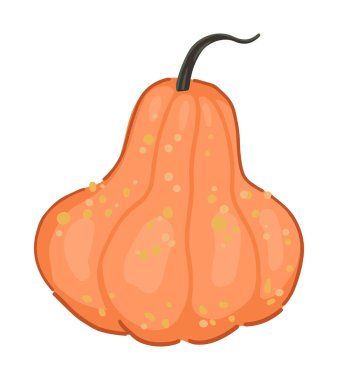 Balkabağı sebzesi. Çizgi film tarzında vektör illüstrasyonu. Güz mevsimi hasat ortamı beyaz arka planda izole..