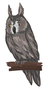 Çizgi film tarzında uzun kulaklı baykuş tırmanışı. Gece kuşunun gerçekçi renkli vahşi hayvan çizimi. Vektör illüstrasyonu beyaz arkaplanda izole edildi..