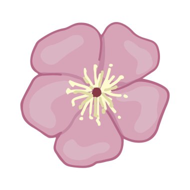 Kiraz çiçekli karalama. İlkbahar Botanik Klibi. Çizgi film vektör çizimi beyaz arkaplanda izole edildi.