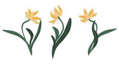  Soyut sarı çiçekler seti. Elle çizilmiş vektör çizimleri koleksiyonu. Beyaz arkaplanda izole edilmiş renkli çizgi film tırmanışları.