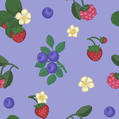Bahar meyveleri pürüzsüz desen. Çilek, yabanmersini ve ahududu süsü. Çizgi film vektör tasarımı.