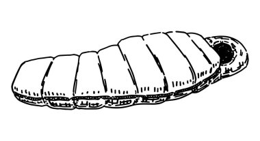 Uyku tulumu skeci. Yürüyüş ekipmanlarına tırman, seyahat özellikleri. El çizimi vektör çizimi beyaza izole edildi.