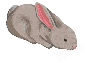 Sevimli yavru tavşan, sevimli tavşan. Çizgi film tarzında vahşi bir hayvan. Çağdaş vektör çizimi. Modern clipart beyaz arkaplanda izole.