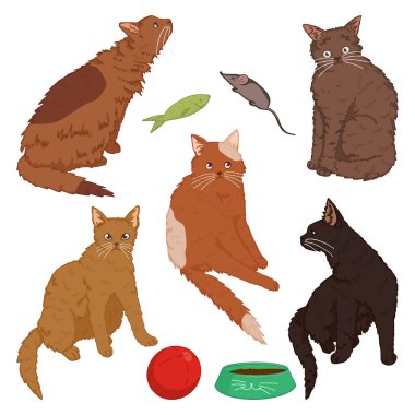 Sevimli kediler. Evcil hayvanlar, kedi koleksiyonu. El çizimi vektör çizimi. Beyazda izole edilmiş renkli zirveler. Dekor, çıkartma, tasarım, kart, yazdırma ögeleri.