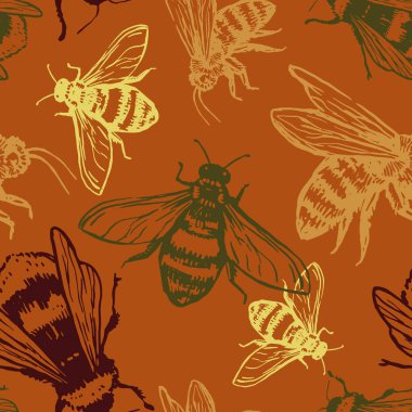 Uçan böceklerin kusursuz deseni arılar, yaban arıları. El çizimi vektör çizimi. Tasarım arka planı, dekor, duvar kağıdı için Retro biçim süsü.