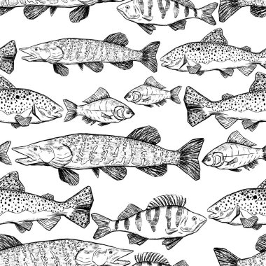 Nehir balığının elle çizilmiş kusursuz deseni. Trout, Perch, Pike, Crucian gerçekçi mürekkep çizimleri. Duvar kağıdı, ambalaj, tekstil, kart, baskı, kumaş için klasik tek renkli hayvani tasarım