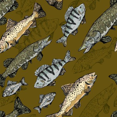 Trout, Perch, Pike, Crucian gerçekçi mürekkep çizimleri. Nehir balığının elle çizilmiş kusursuz deseni. Klasik renkli balıkçılık süsü. Duvar kağıtları, arkaplan, paket, tekstil, baskı, kumaş için tasarım